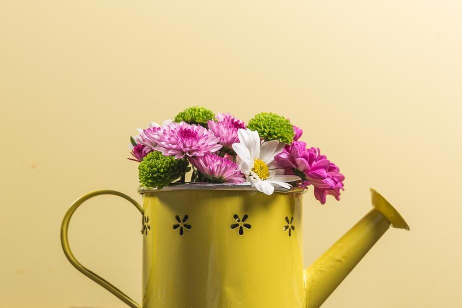 Yellow watering can Outdoor Rustic LTD