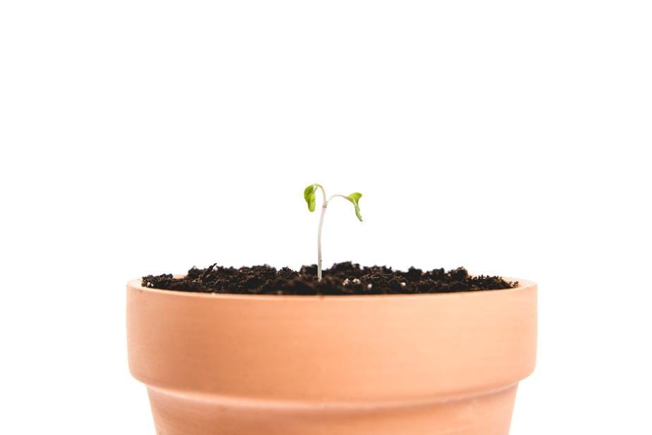 Clay Plant Pot Outdoor Foodyum