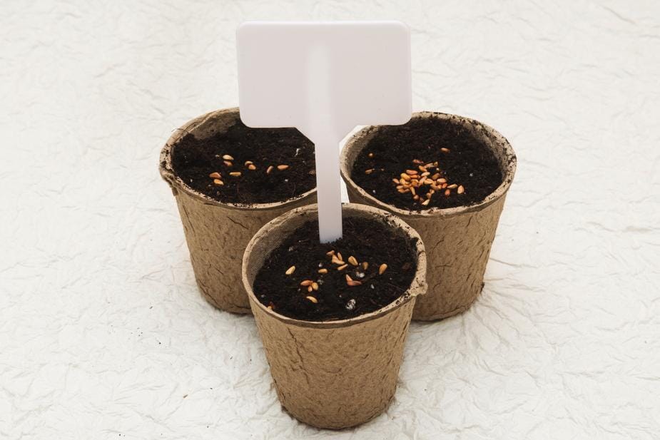 Biodegradable cardboard pots Outdoor Rustic LTD