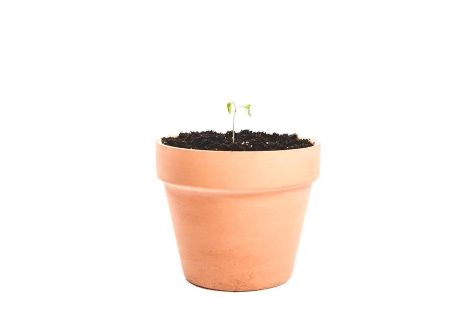 Clay Plant Pot Outdoor Foodyum