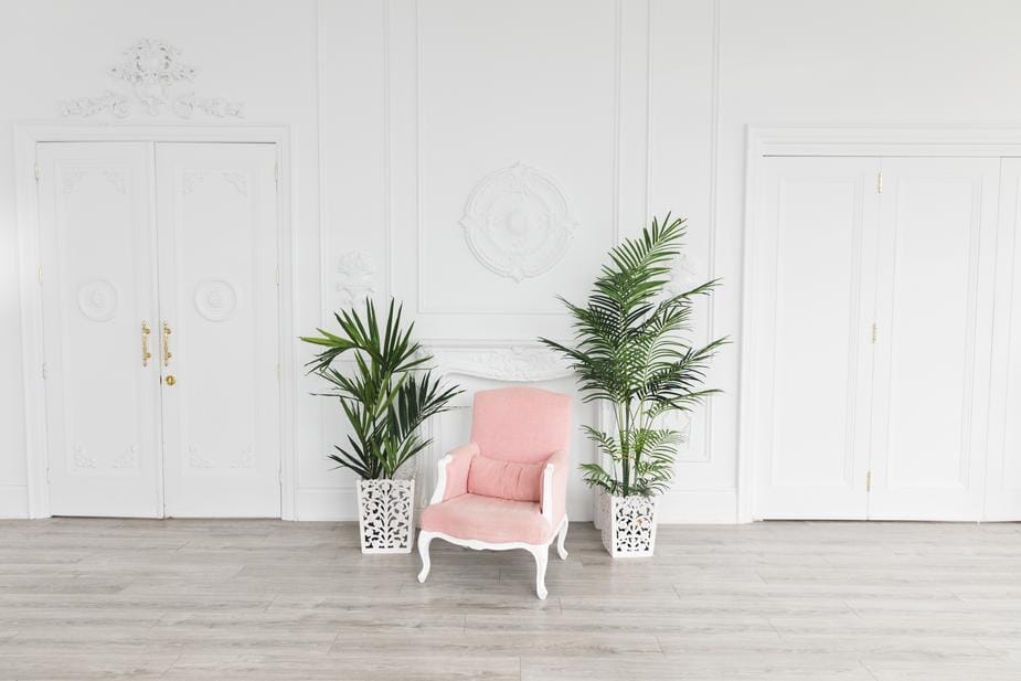 Pink Armchair Indoor Company 123